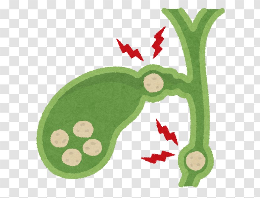 Calculus Bovis Gallbladder Gallstone Aoki Pharmacy - Grass - Leaf Transparent PNG