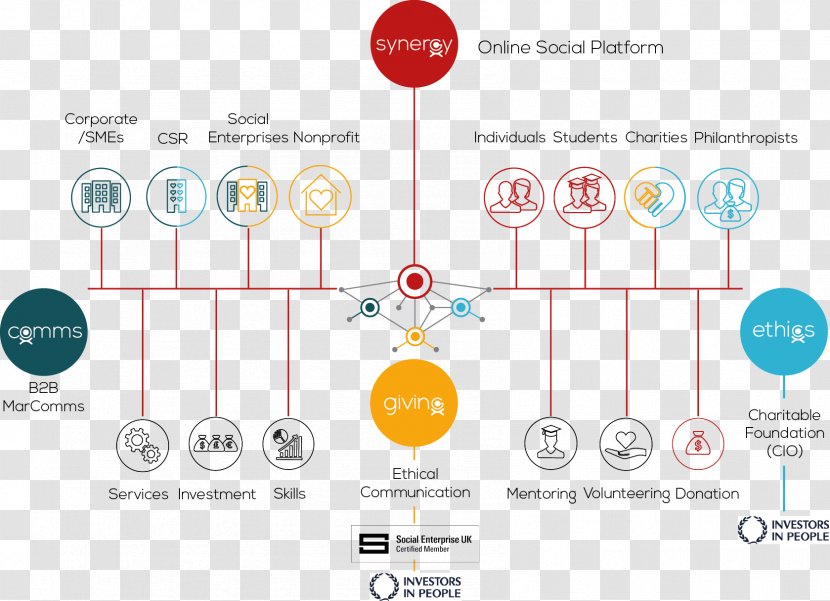Synergy Organizational Chart Business Social Enterprise - Organization Transparent PNG