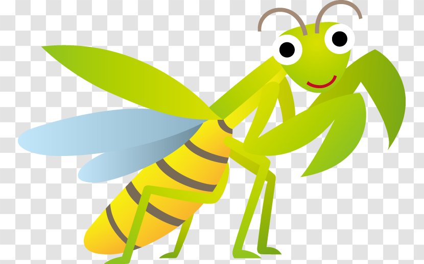 Insect Mantis Clip Art Transparent PNG