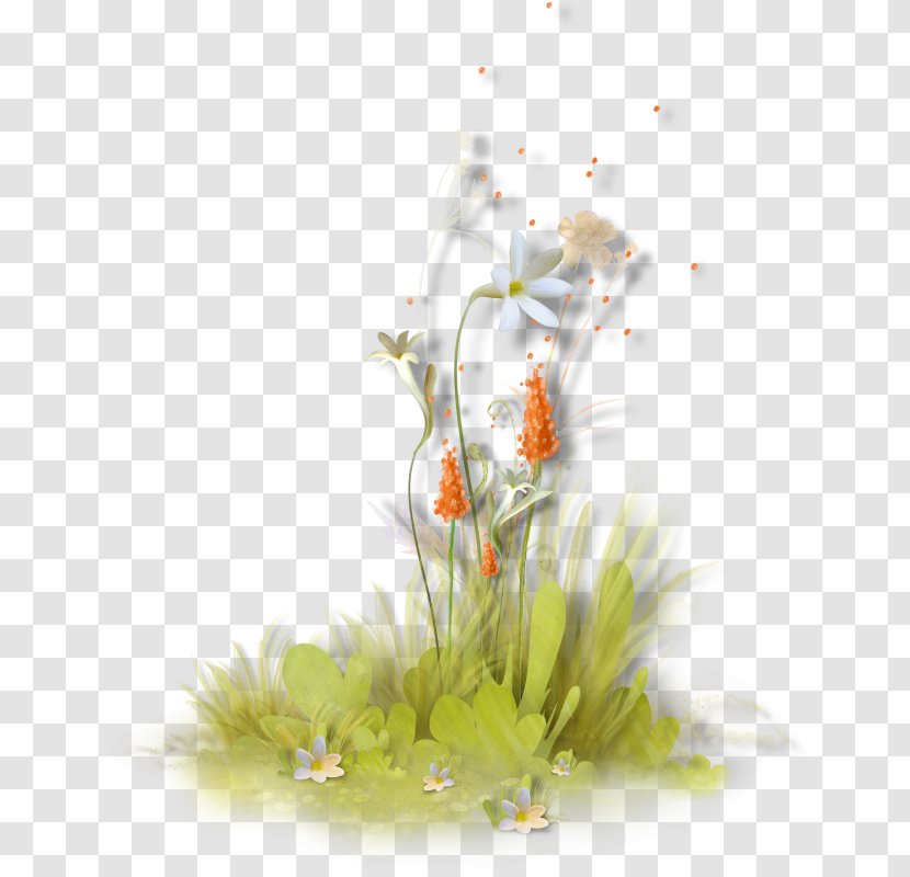 Floral Design Gift Wallpaper - Flower - Green Grass Flowers Transparent PNG