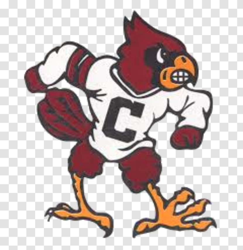 Louisville Cardinals Football Clarinda High School Grand Valley University Of American Transparent PNG