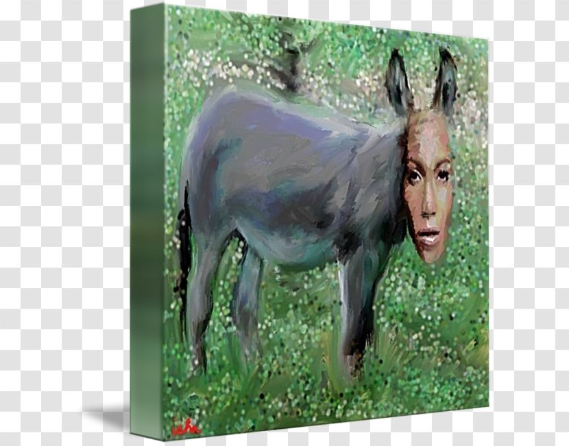 Jennifer Lopez Mare Donkey Pack Animal Pasture - Tree Transparent PNG