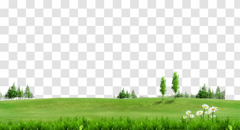 Fundal Information - Green Grass Trees On Background Material Transparent PNG