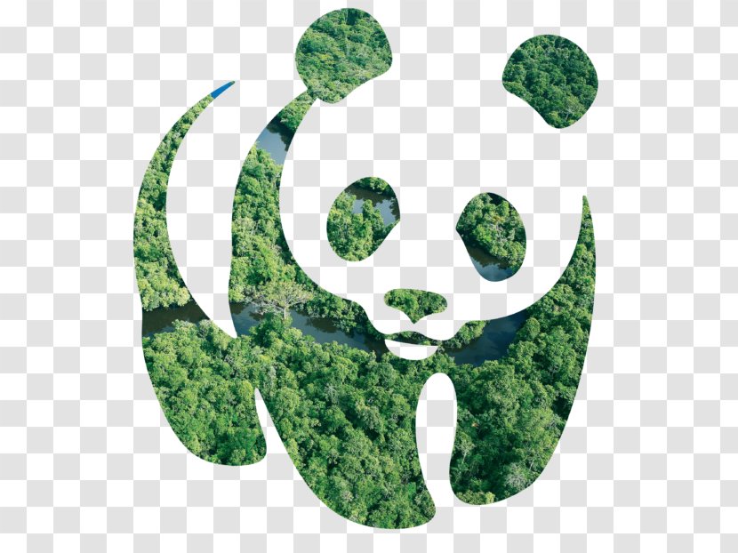 Giant Panda Bear Cross-stitch Knitting - Grass Transparent PNG