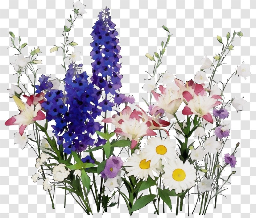 Flower Plant Cut Flowers Bouquet Delphinium - Arranging Petal Transparent PNG