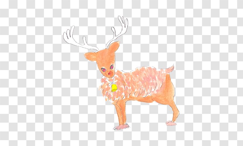 Reindeer Antelope Cartoon Illustration Transparent PNG