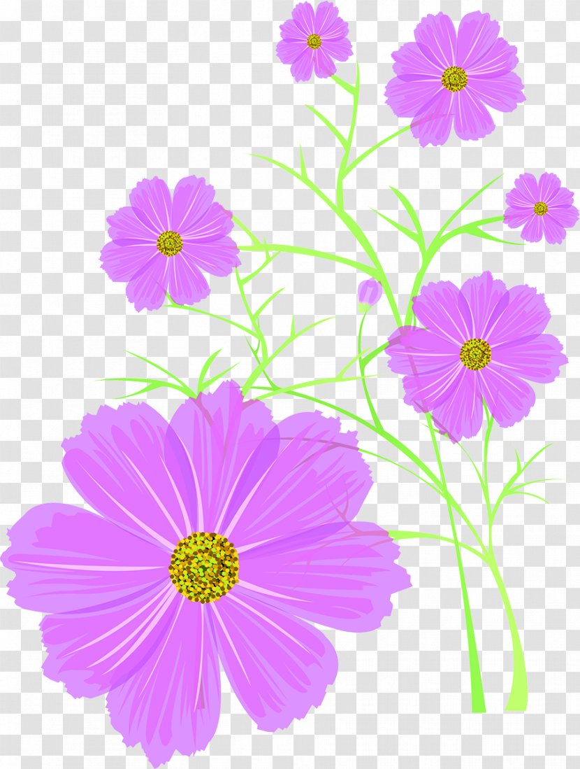 Woman - Tree - Cosmos Flower Transparent PNG