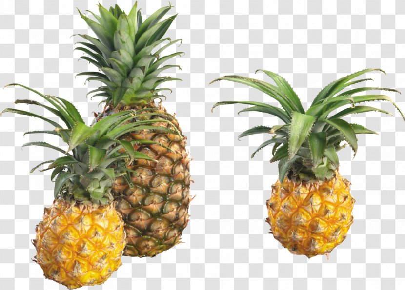 Pineapple Tropical Fruit Food - Lemon Transparent PNG