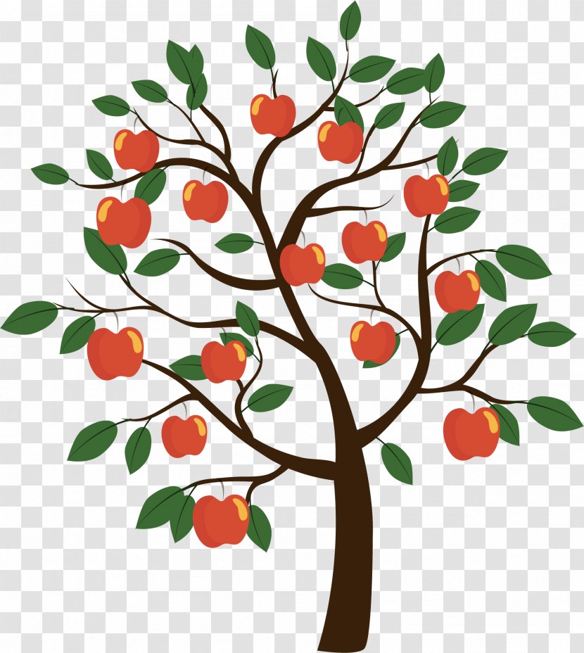 Fruit Tree Euclidean Vector - Twig - Apple Transparent PNG