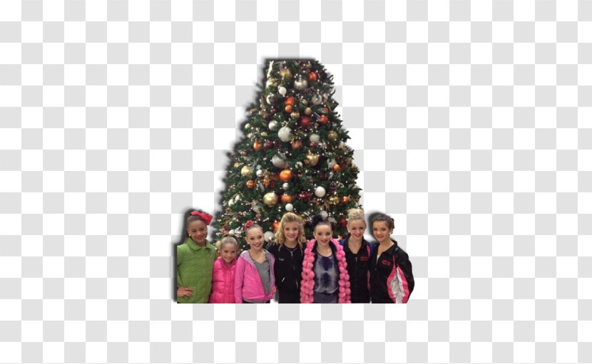 Christmas Decoration Spruce Tree Fir - Pine - Maddie Ziegler Transparent PNG