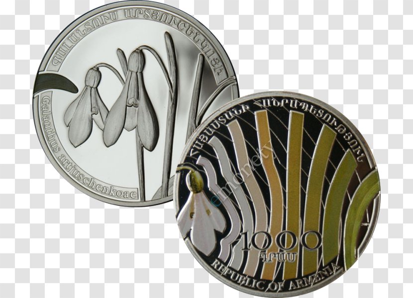 Silver Coin Proof Coinage Dollar Transparent PNG