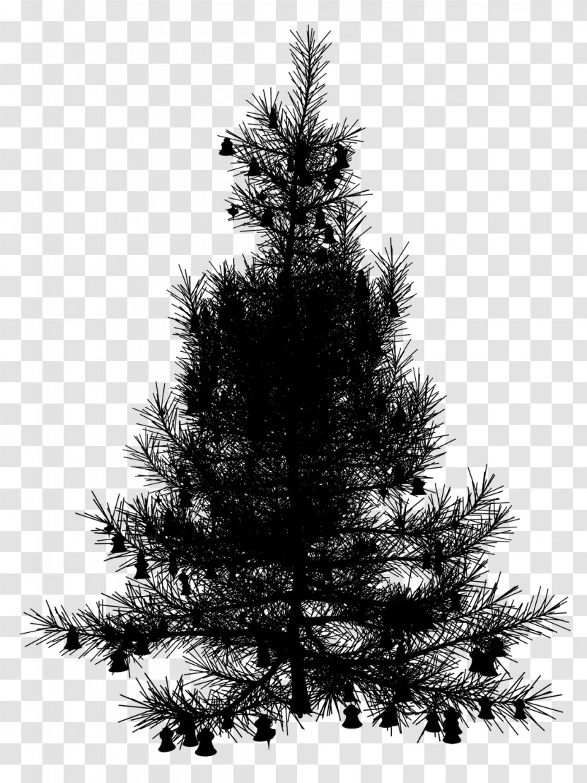 Spruce Christmas Tree Ornament Day Fir - Jack Pine - Interior Design Transparent PNG