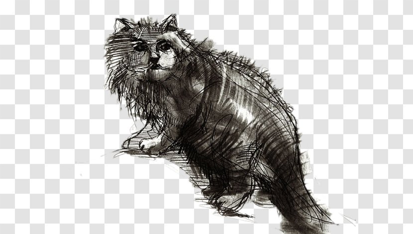 Cat Drawing Arts And Crafts Movement - Photography - Sketch Material Transparent PNG