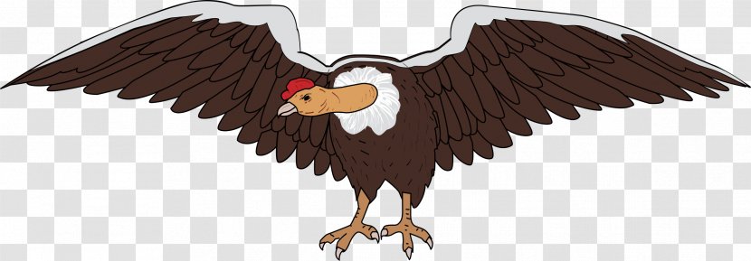 Andean Condor Bird Vulture Clip Art - Eagle Transparent PNG