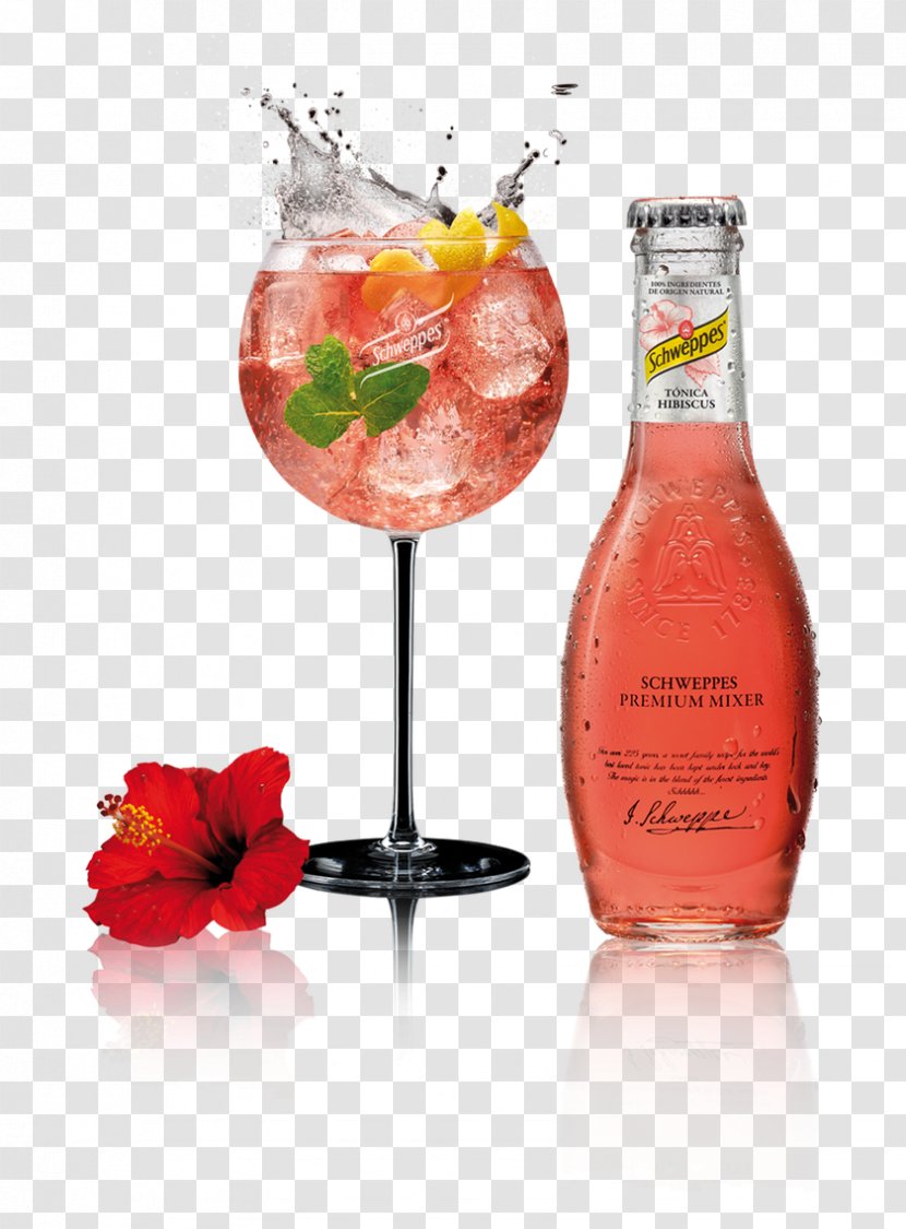 Tonic Water Wine Cocktail Spritz Gin And Transparent PNG