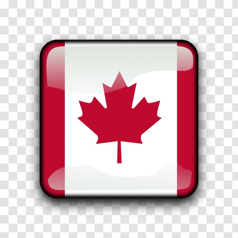 Flag Of Canada Maple Leaf Clip Art - White Transparent PNG