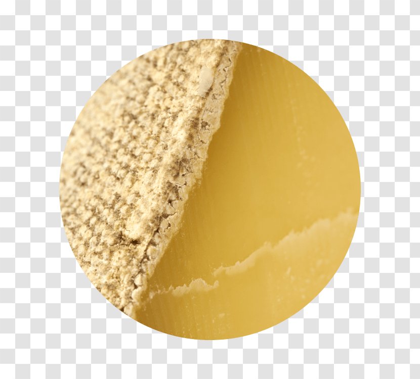 Quebec Cheese Dairy Products Pasta - Frame Transparent PNG