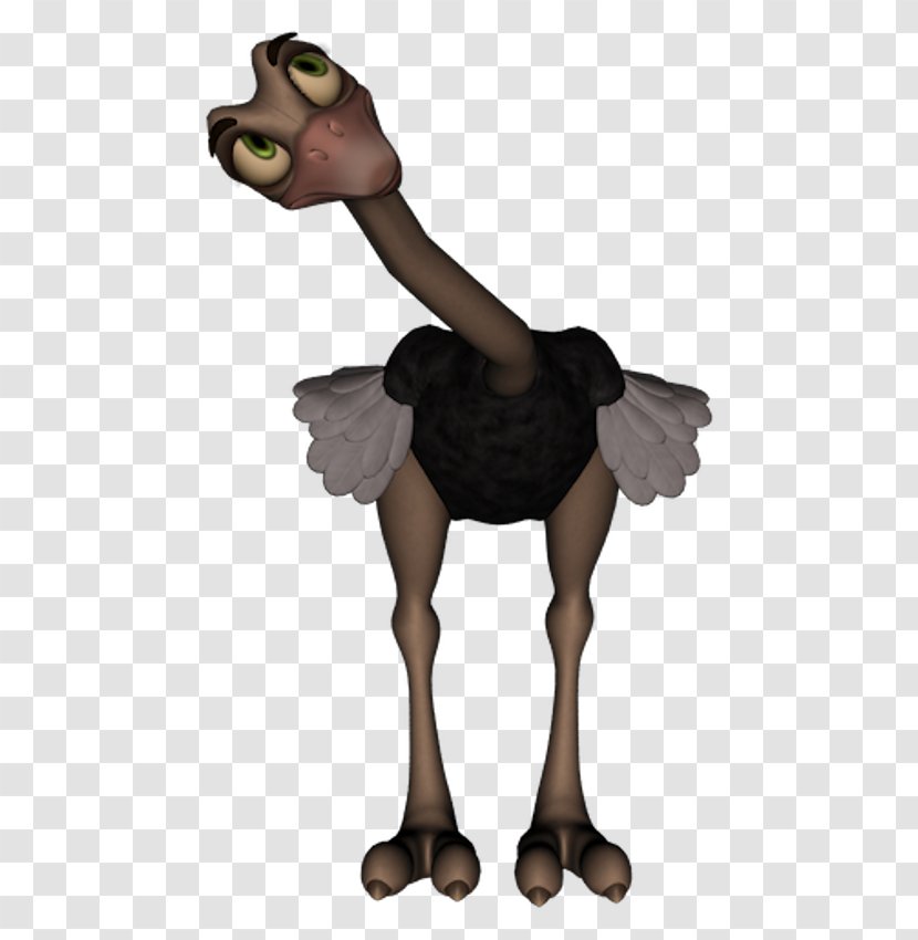 Horse Common Ostrich Camel Cartoon - Fiction Transparent PNG