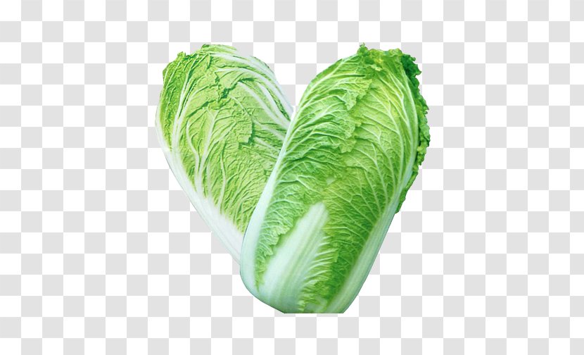 Chinese Cuisine Cabbage Vegetable Broccoli - Napa - Two Transparent PNG