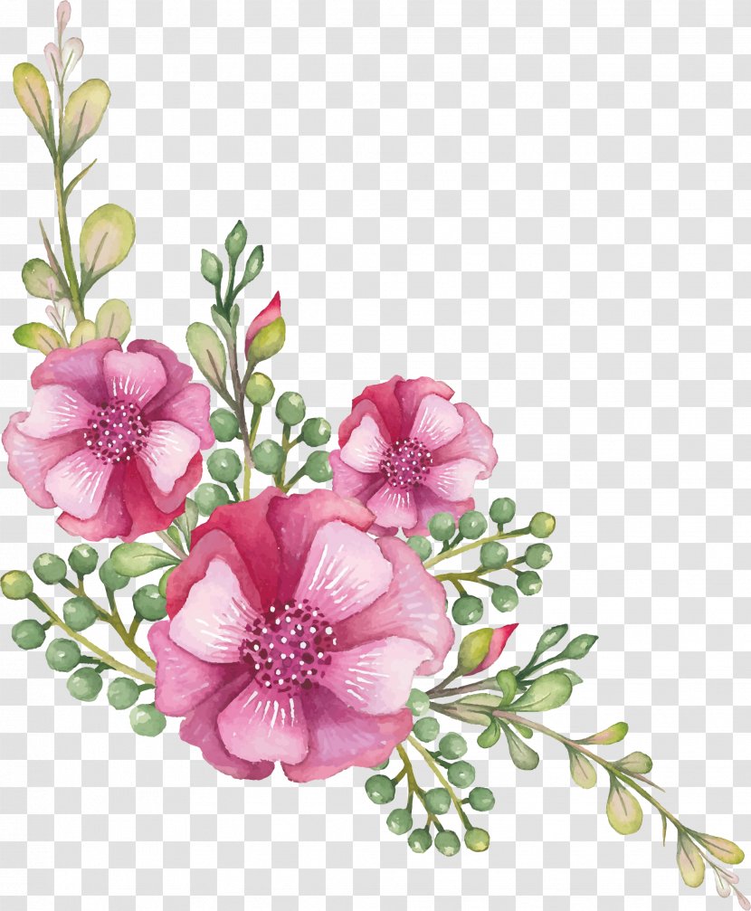 Cut Flowers Floral Design Centifolia Roses Garden - Plant - Subshrubby Peony Flower Transparent PNG