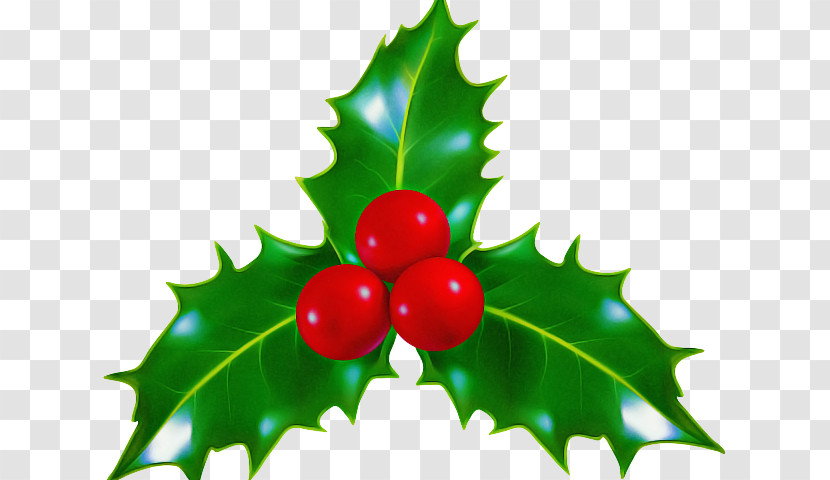 Holly Transparent PNG