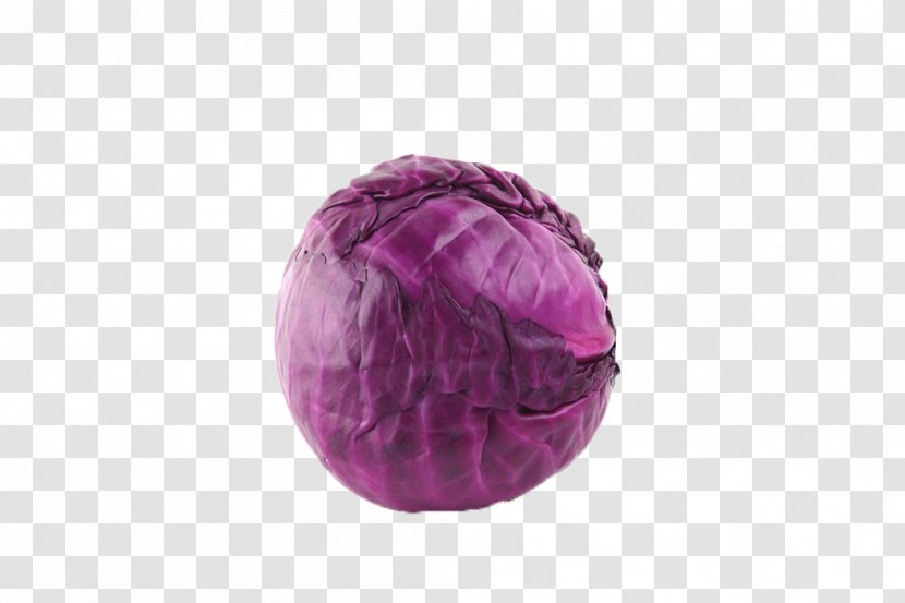 Red Cabbage Cauliflower Vegetable - Violet Transparent PNG