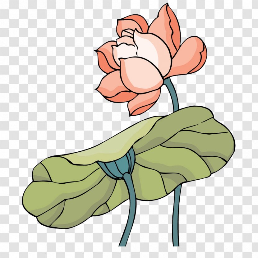 Nelumbo Nucifera Cartoon - Heart - Lotus Transparent PNG