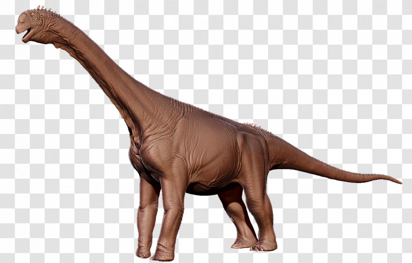 Camarasaurus Dinosaur Herbivore Puertasaurus Wikia Transparent PNG