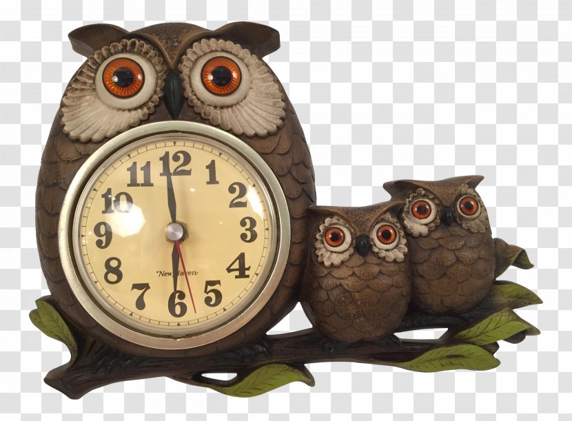 Owl Clock Wood /m/083vt - Bird Transparent PNG