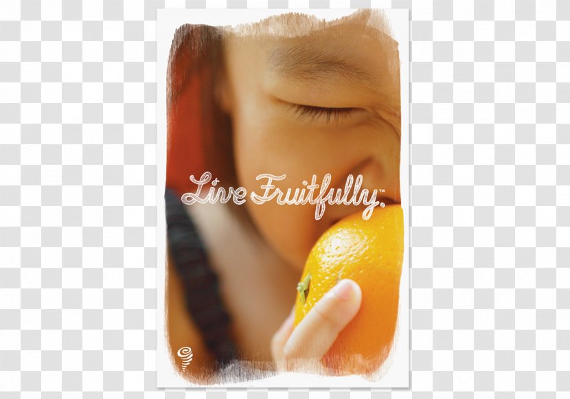 Smoothie Jamba Juice Talbott Teas - Company - Posters Transparent PNG