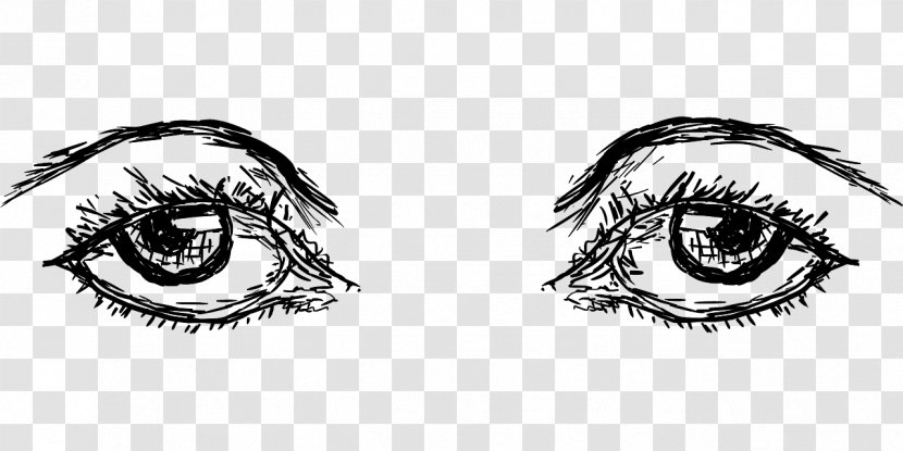 Eyebrow Human Eye Drawing - Silhouette Transparent PNG