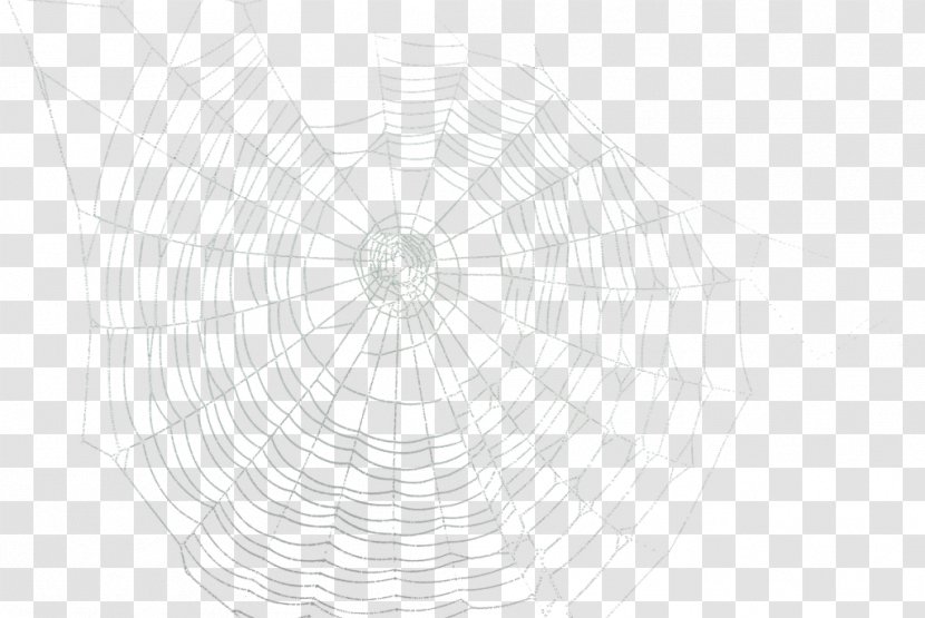 Spider Web Circle Point Pattern - Telas Transparent PNG
