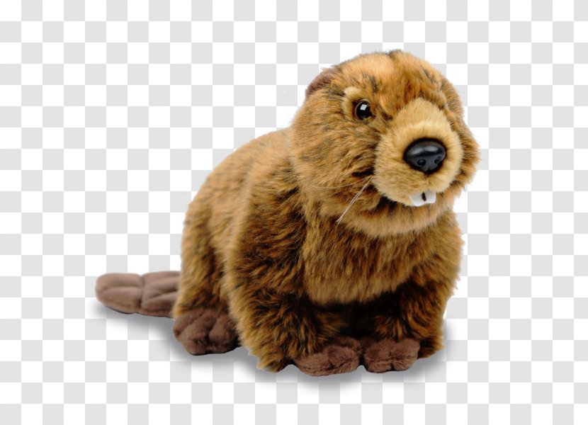 Canada Beaver Clip Art - Fur Transparent PNG