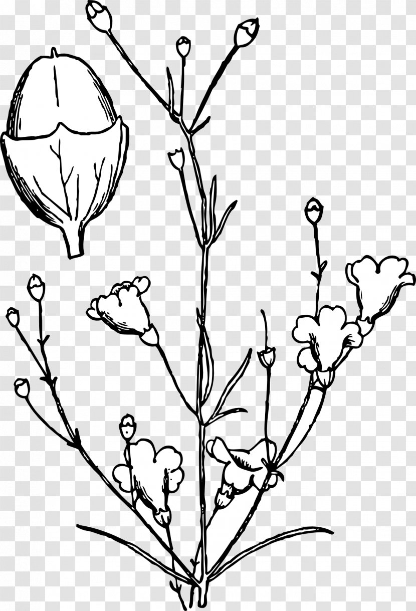 Clip Art Shrub Agalinis Obtusifolia Drawing - Silhouette - Flowering Shrubs Transparent PNG