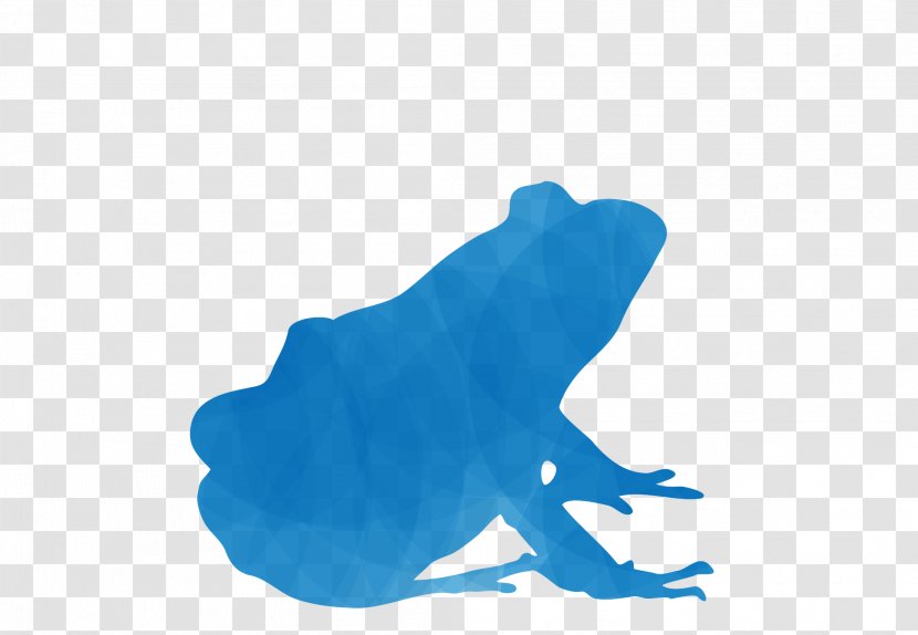 Frog Marine Mammal Turquoise Transparent PNG