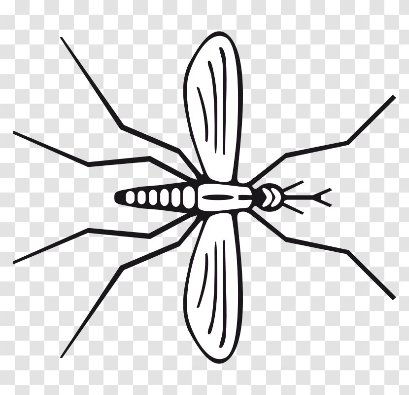Mosquito Insect Pollinator Line Art Clip - Artwork Transparent PNG