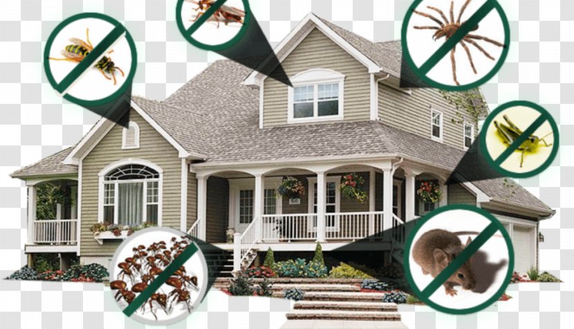 Pest Control Mosquito House Cockroach - Cleaning Transparent PNG