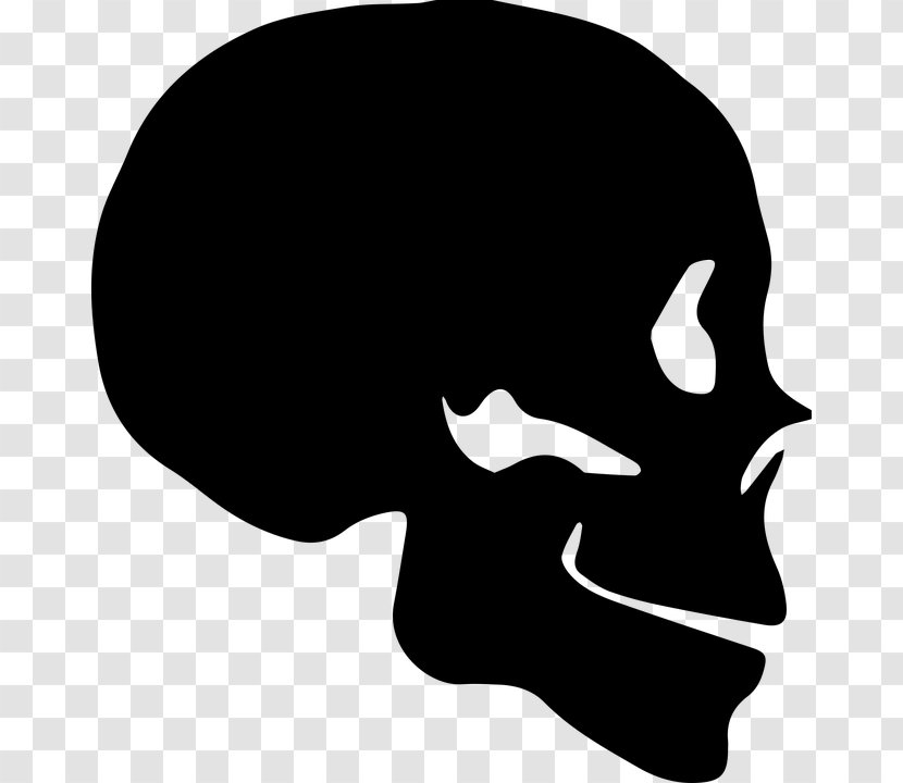 Skull Silhouette Bone Human Skeleton Transparent PNG