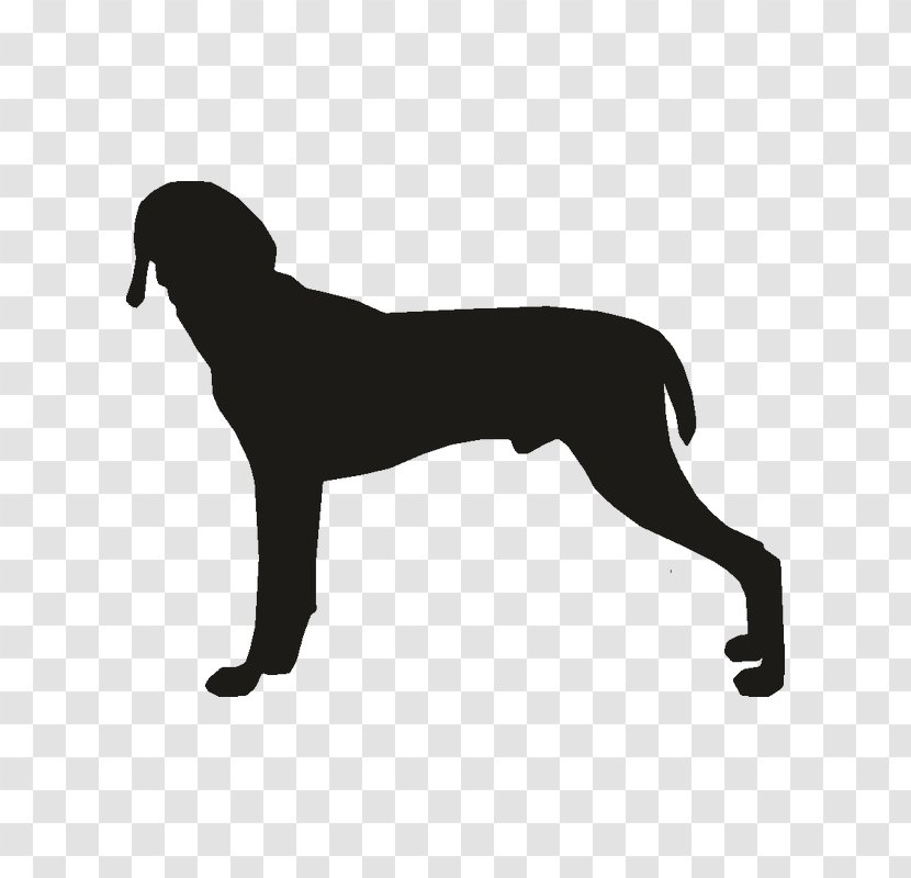 Dog Breed Puppy Weimaraner Sporting Group Vizsla Transparent PNG