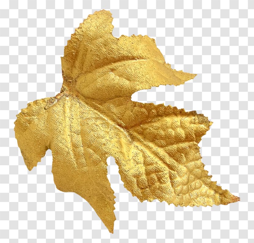 Leaf - Golden Transparent PNG