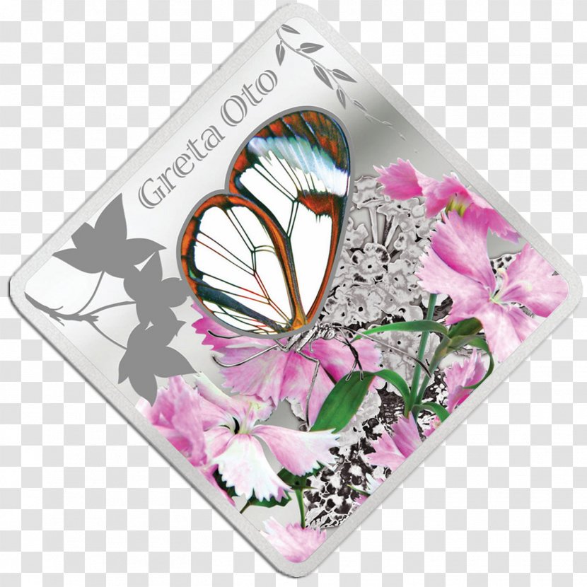 Glasswing Butterfly Butterflies And Moths Coin Frånsida Animal - United States Tendollar Bill - Lithuania Transparent PNG