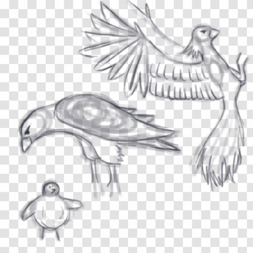 Feather Bird Drawing Art Sketch - Artist Transparent PNG