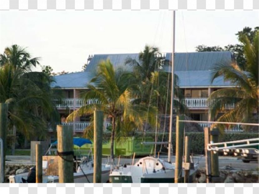 Florida Keys Coral Lagoon Resort Villas & Marina By KeysCaribbean Bahia Honda Key Banana Bay - Hotel Transparent PNG