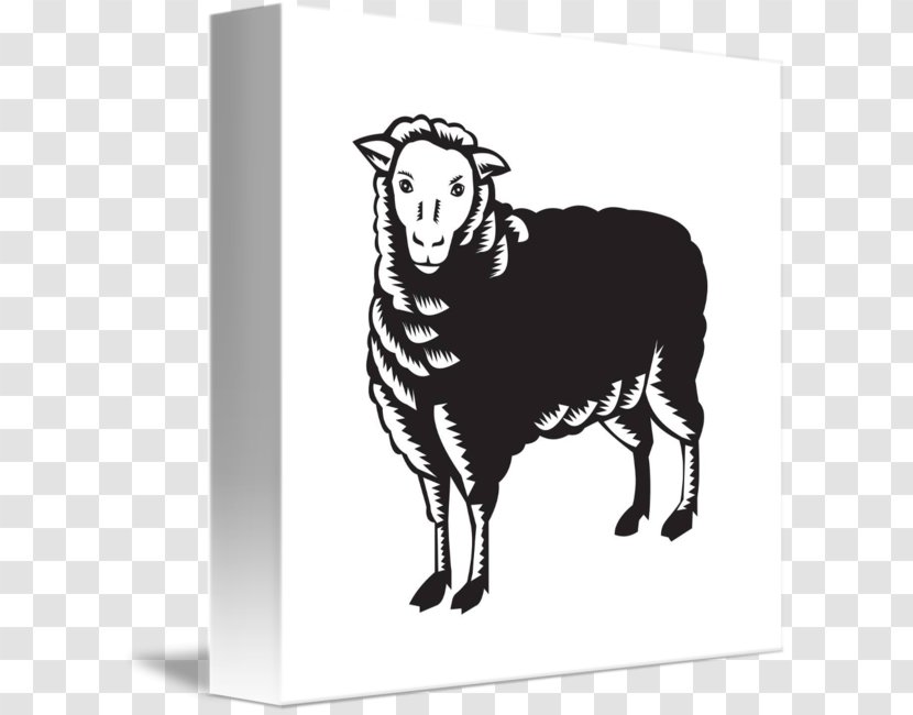 Sheep Agneau Can Stock Photo Royalty-free - Ox Transparent PNG
