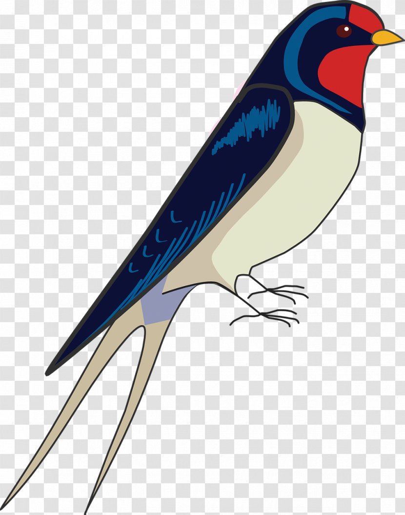 Barn Swallow Bird Drawing - Flying Transparent PNG