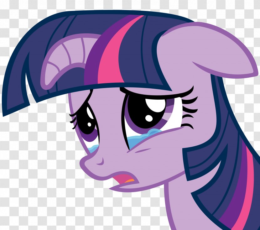 Twilight Sparkle My Little Pony Rarity Fluttershy - Flower - Sad Face Transparent PNG