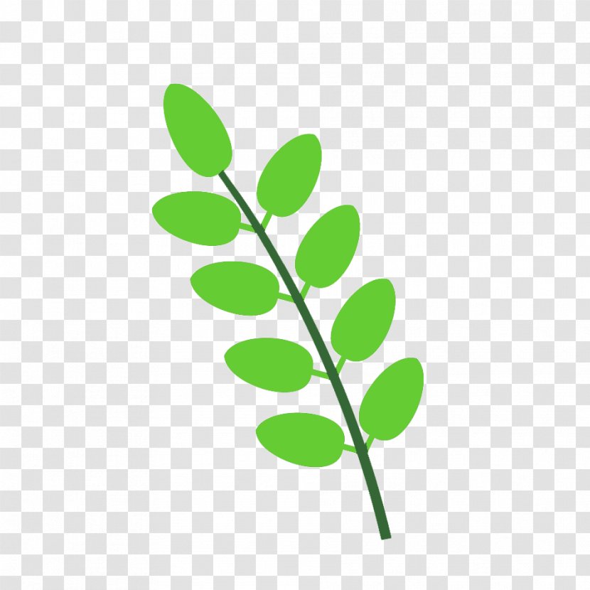 Plant Stem Leaf Line Branching Clip Art Transparent PNG