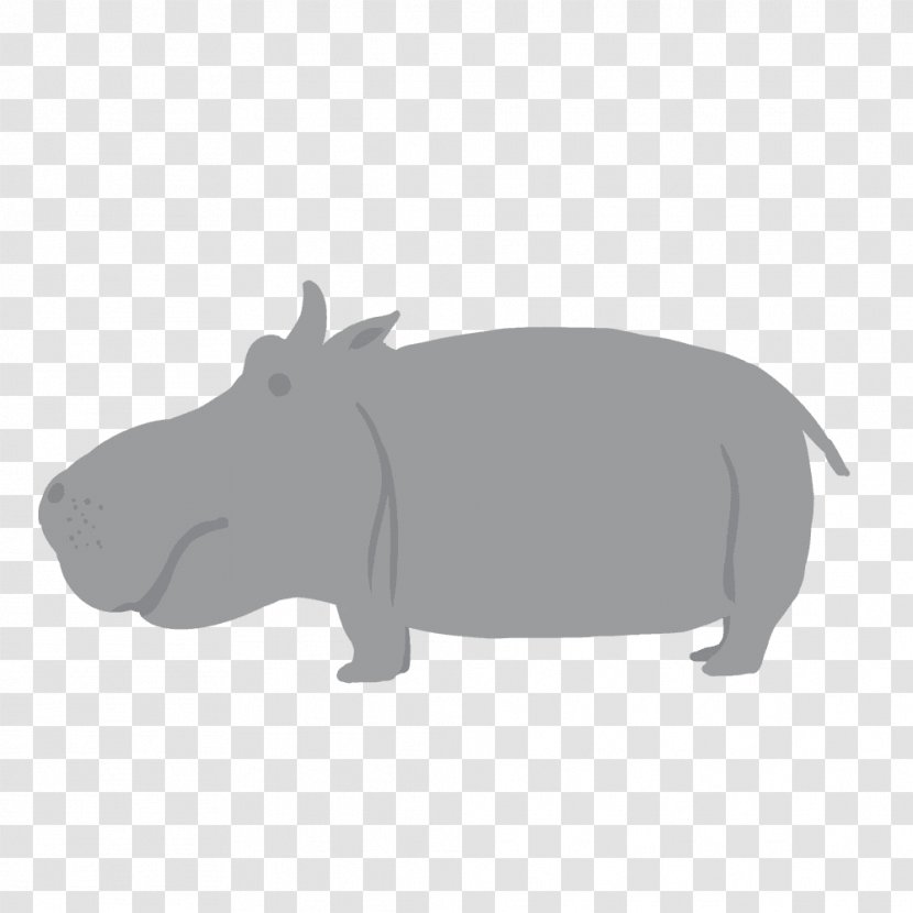 Hippopotamus Animal Mammal - Kaba Transparent PNG