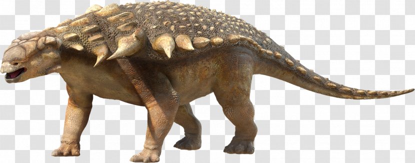 Tyrannosaurus Edmontonia Hesperonychus Parksosaurus Pachyrhinosaurus - Ankylosaurus - Dinosaur Transparent PNG
