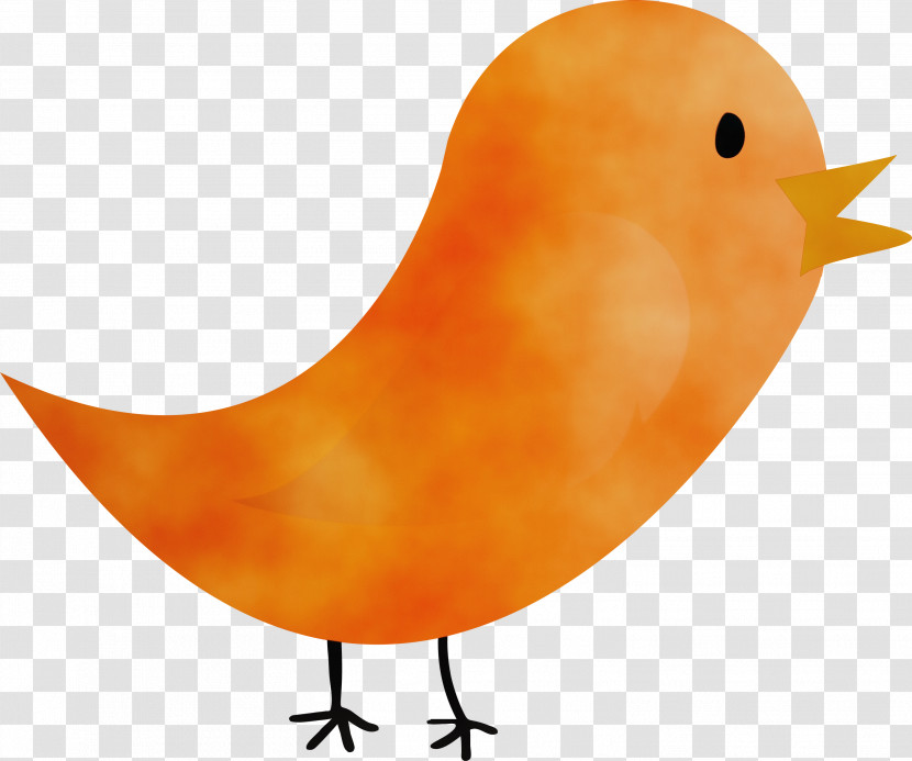 Orange Transparent PNG